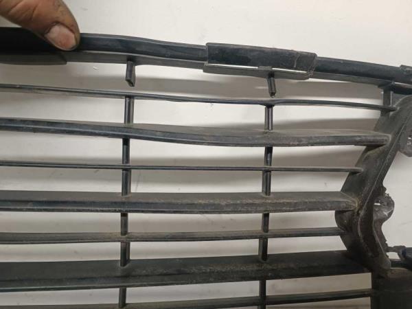 CALANDRE PEUGEOT - Vue 2